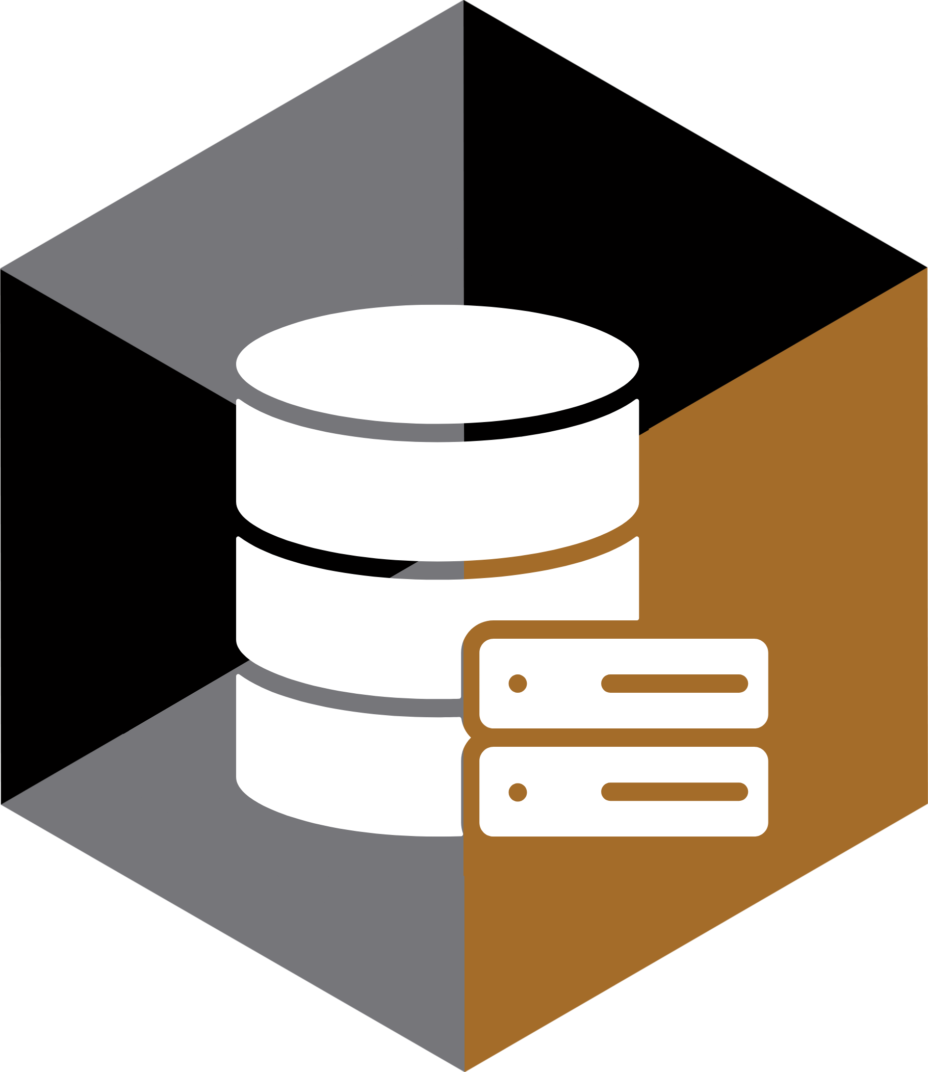 web hosting and domain